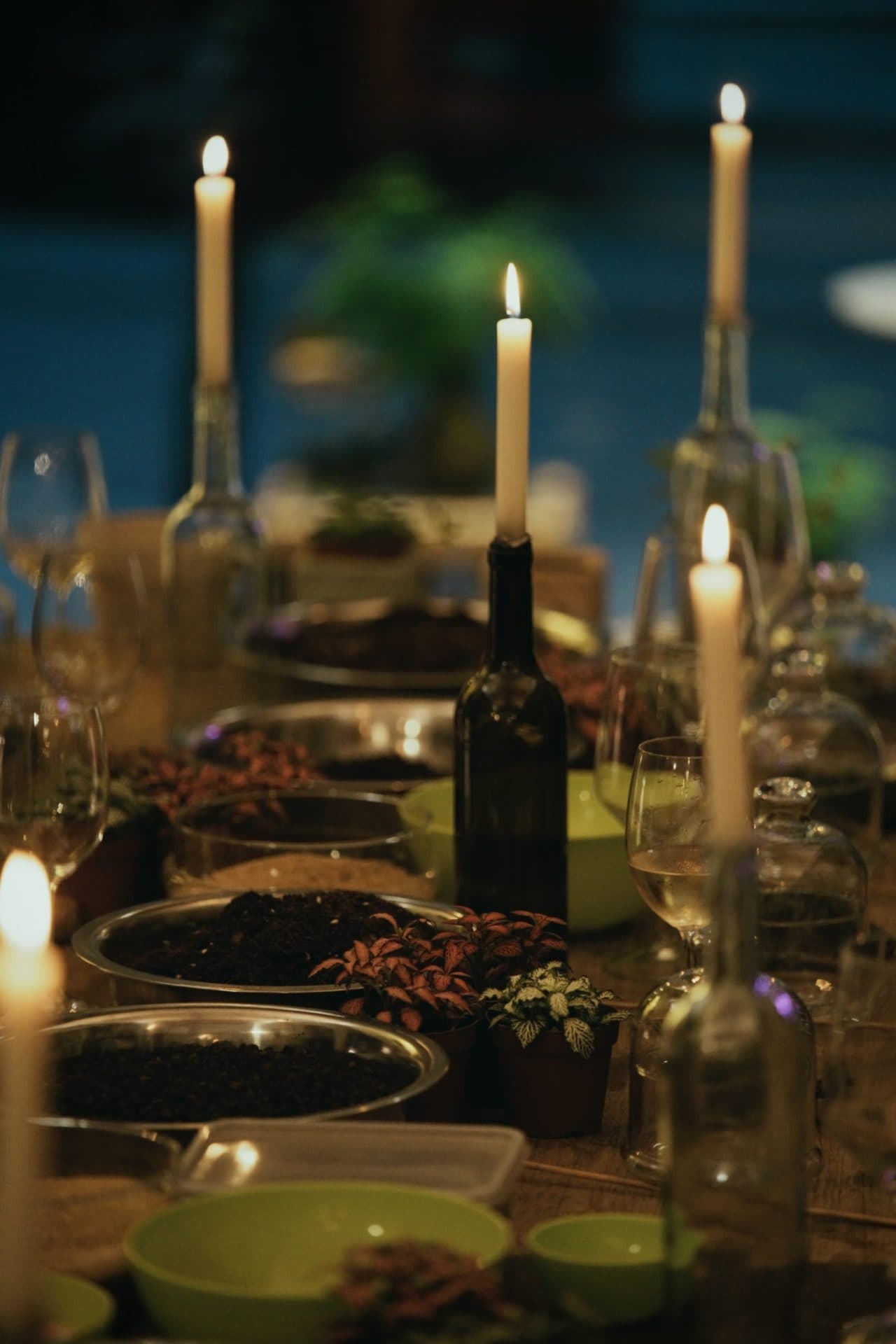 plants&wine