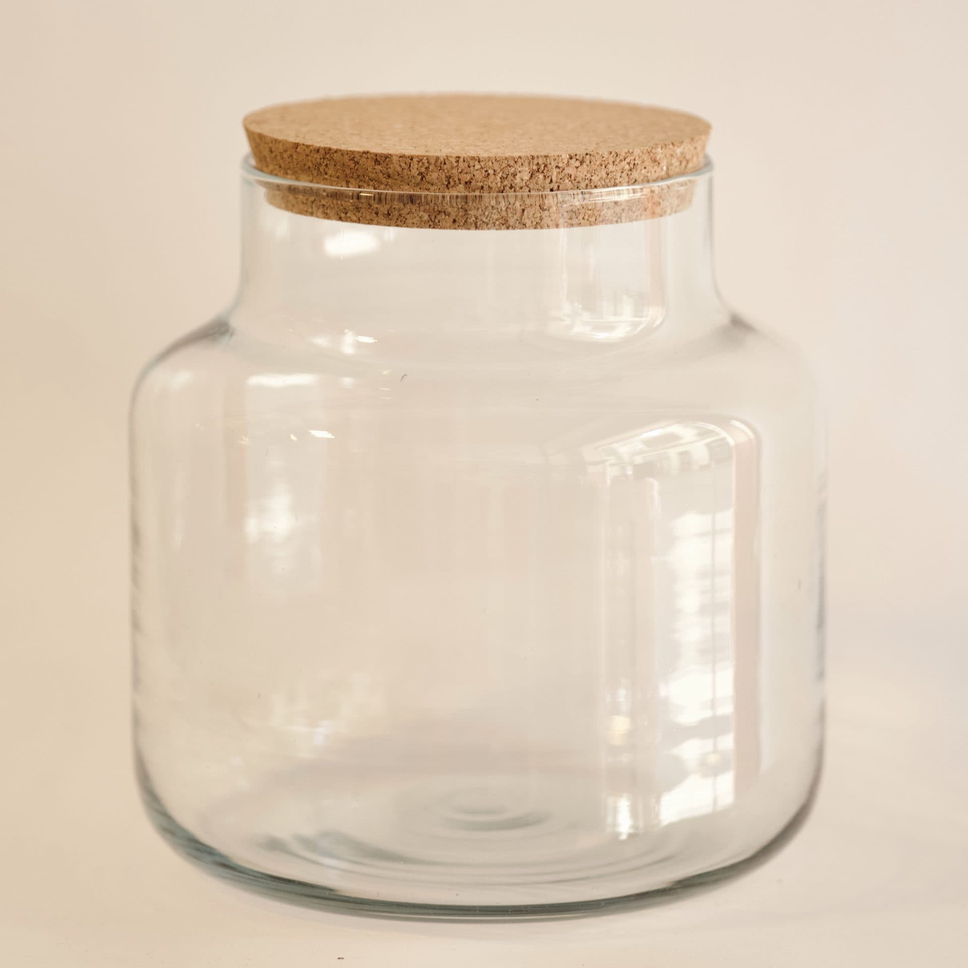 Recipiente de Cristal para Terrarios